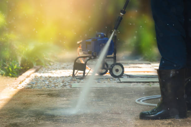 Animal Enclosure Cleaning in Rockwell, NC